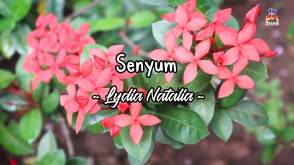 Lydia Natalia - Senyum (Official Lyric Video)