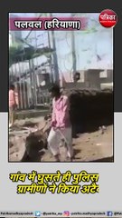 पलवल (हरियाणा) : पलवल में एमपी पुलिस का ज्वाइंट ऑपरेशन