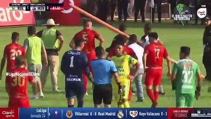 فيديو: ثعبان  يقتحم مباراة كرة قدم