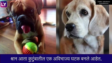 Sidharth Malhotra आणि  Kunal Kemmu च्या घरी शोककळा, घरातील जीवलागचा मृत्यू