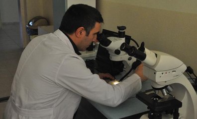 GÜMÜŞHANE ÜNİVERSİTESİ ÖĞRETİM ÜYELERİ, YENİ 'OTBİÇEN' TÜRÜ KEŞFETTİ