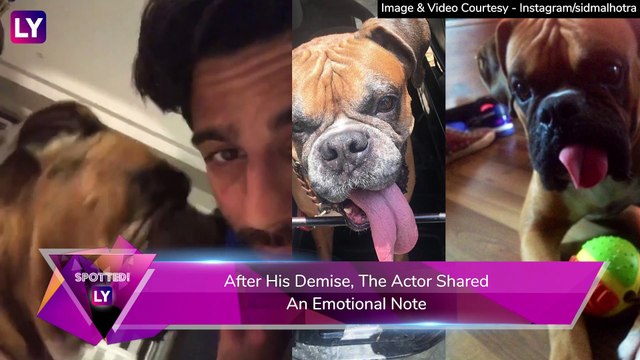 Sidharth Malhotra Mourns His Oscar, Kunal Kemmu Remembers Masti