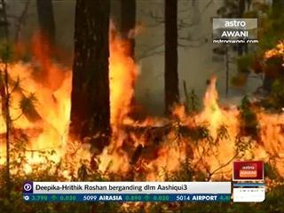 Kebakaran hutan terus melanda Siberia