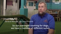 Inside Dubai’s luxury dog resort where canines get a five-star stay