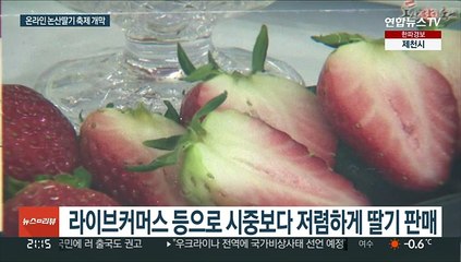 올해도 온라인으로 만나요…논산딸기축제 온라인 개막