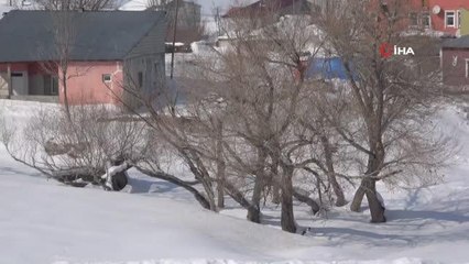 Ağrı'da kış manzarası göz kamaştırıyor