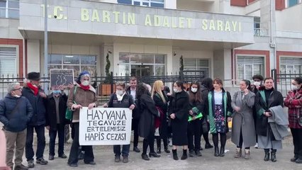 Son dakika haberi: Köpeğe cinsel istismarla suçlanan sanık hakim karşısında