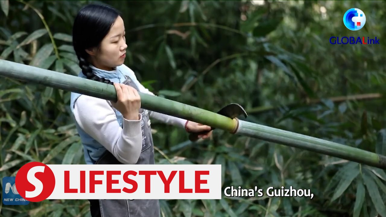 Chinese lawmaker sticks to development of traditional industries