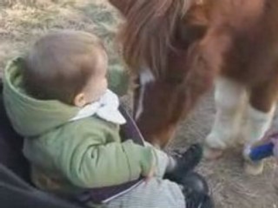 Au poney