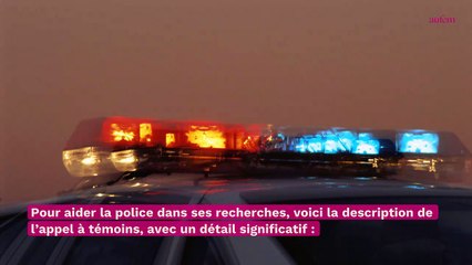 Biarritz : la disparition d'un jeune couple depuis lundi inquiète