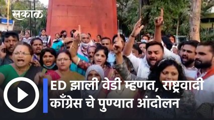 Nawab Malik Arrest: ED झाली वेडी म्हणत, राष्ट्रवादी काँग्रेस चे पुण्यात आंदोलन