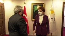 İYİ Parti Genel Başkanı Akşener, AP Türkiye Raportörü Amor ile görüştü