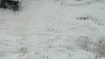 Karlıova-Yedisu kara yolu çığ nedeniyle kapandı