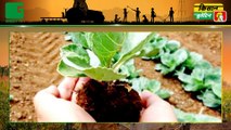 प्रदेश का पहला Agriculture Budget - किसानों के लिए राजस्थान सरकार ने किए कई बड़े ऐलान | Kisan Bulletin | Green TV