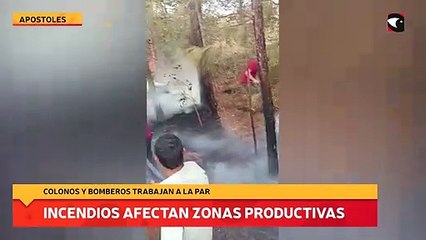 Colonos y bomberos trabajan a la par