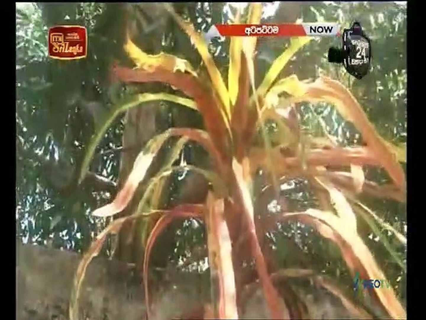 Atapattama 2022.02.23