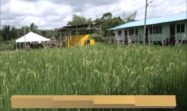 Kalendar Sarawak: Masalah bekalan air berair