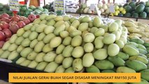 Nilai jualan gerai buah segar disasar meningkat RM150 juta
