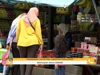 Komen Pagi 12 Jan: Penamaan calon PRK Cameron Highland