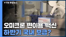 오미크론 변이용 백신, 하반기에 국내 보급? / YTN