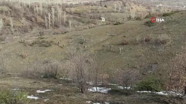 Son dakika haber: Elazığ'da 'Eren Kış-26 Şehit Jandarma Yarbay Alim Yılmaz' Operasyonu başlatıldı