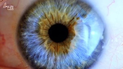 Can This Technique Potentially Cure Blindness?