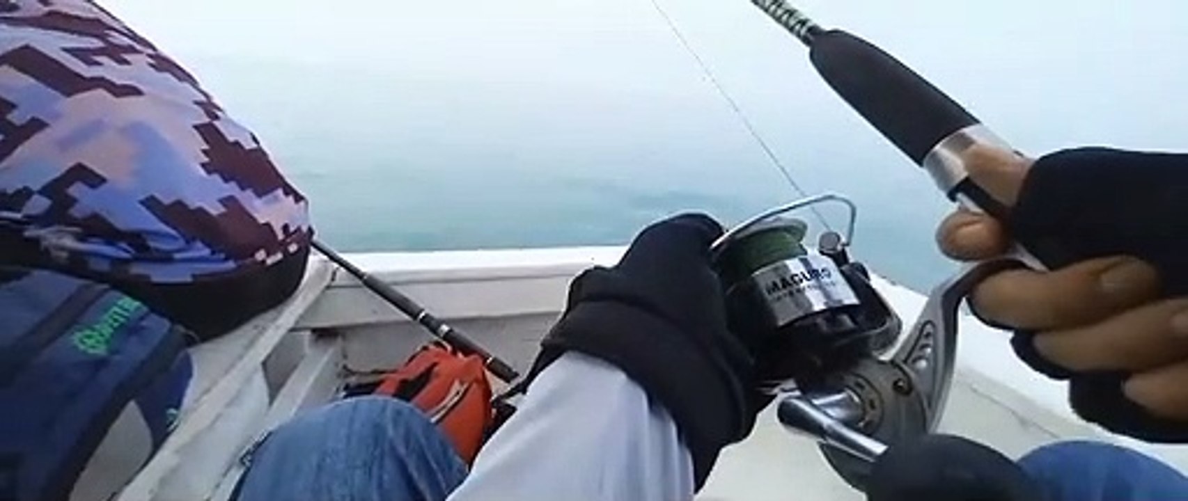 Panen Ikan