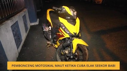 Pembonceng motosikal maut ketika cuba elak seekor babi
