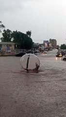 Tải video: O vídeo em que o empresário Wellington Vaz aparece dentro de um bolha aquática foi gravado na esquina da rua 5 com a rua 6, em Vicente Pires