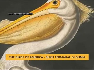 #Bualan 2 Jan: The Birds of America - Buku termahal di dunia