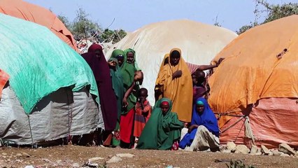 Baidoa, carrefour du désespoir dans une Somalie écrasée par la sécheresse