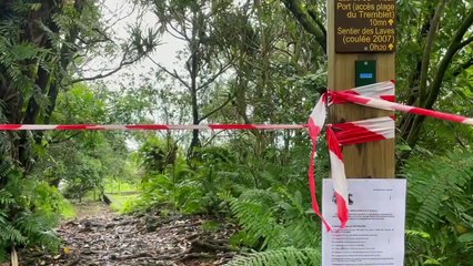 Tresta Star : "Il serait naïf de notre part de croire que le propriétaire va tout faire pour démanteler ce navire"