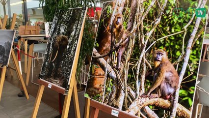 [#Reportage] Gabon: le Concours national de photographie en exposition à SANgel de Bessieux