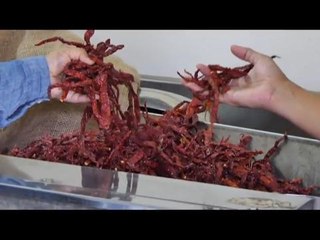 Ikon Agro: Komited bantu usahawan agro