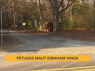 Petugas maut dibaham singa