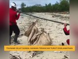 Teh Tarik AWANI 29 Dis: Tsunami Selat Sunda - Haiwan terancam turut diselamatkan