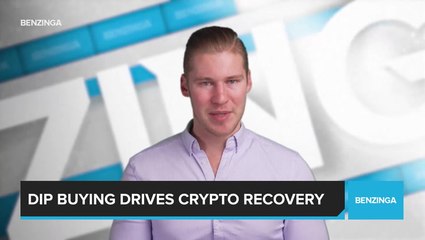 Dip Buying Drives Crypto Recovery
