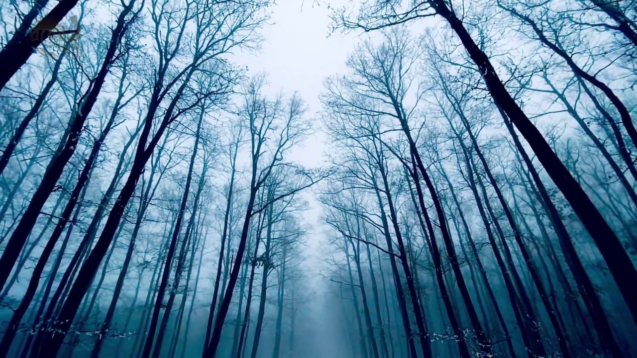 কোন কোন জায়গায় মিথ্যা বলা জায়েজ | যে সব ক্ষেত্রে মিথ্যা বলা জায়েজ | Rober Pothe - রবের পথে
