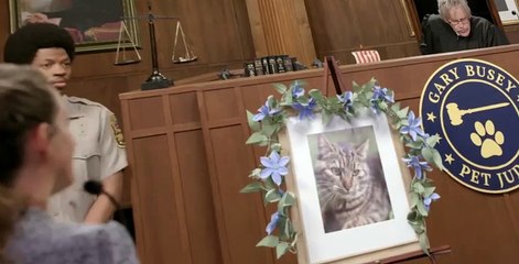 Gary Busey: Pet Judge S01 E01