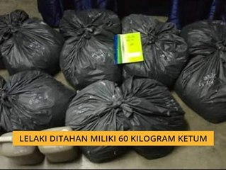 Lelaki ditahan miliki 60 kilogram ketum