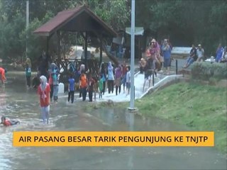 Air pasang besar tarik pengunjung ke TNJTP