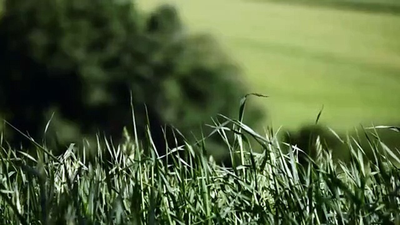 A vendre - Appartement - SAVIGNY-SUR-ORGE (91600) - 3 pièces - 63m²