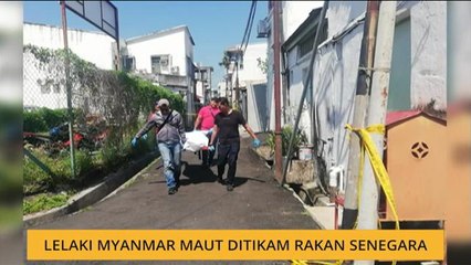 Lelaki Myanmar maut ditikam rakan senegara