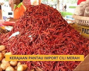 Kerajaan pantau import cili merah