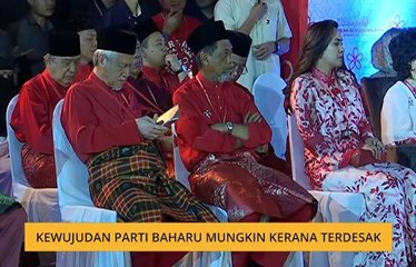 Kewujudan parti baharu mungkin kerana terdesak
