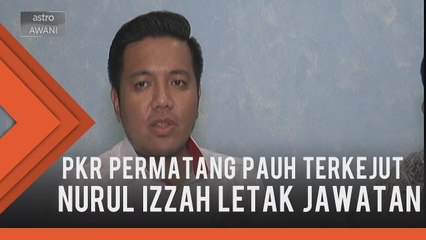 PKR Permatang Pauh terkejut, sedih Nurul Izzah letak jawatan