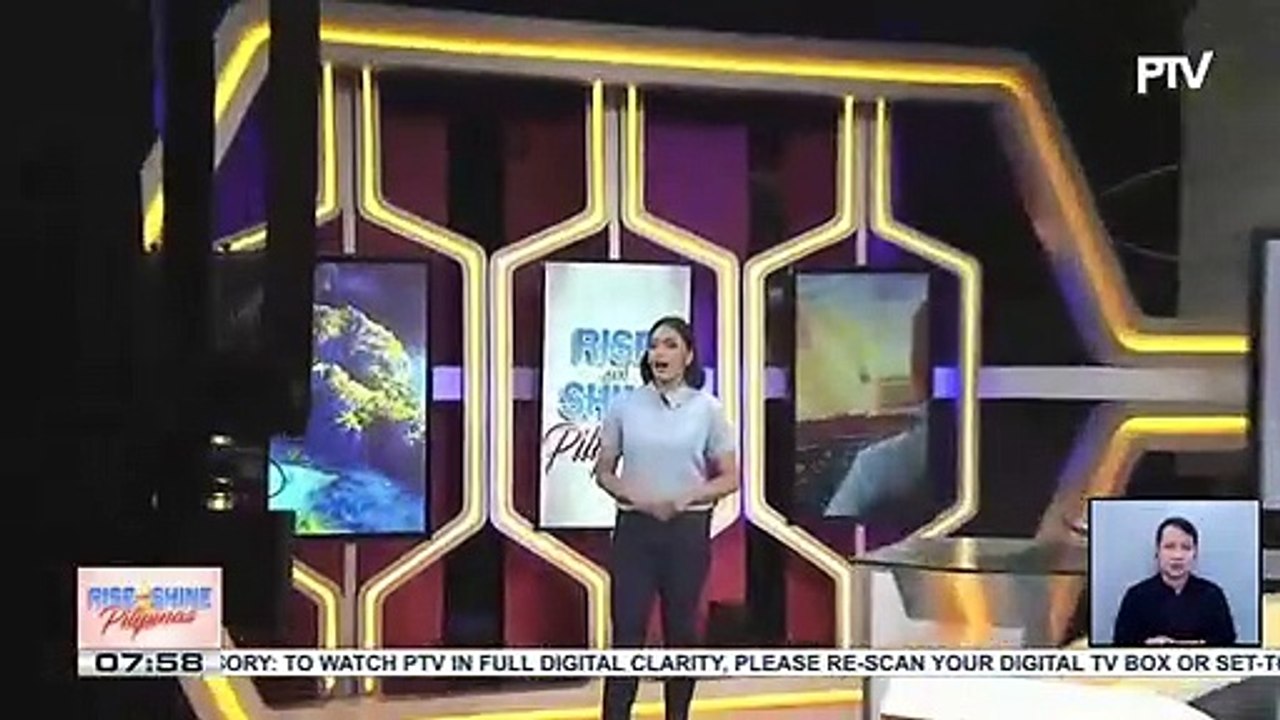 Isang ibon na brown booby, nasagip at pinakawalan ng DENR