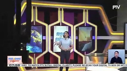 Isang ibon na brown booby, nasagip at pinakawalan ng DENR