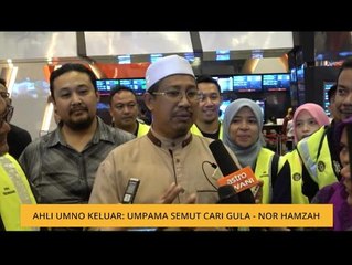 Ahli UMNO keluar: Umpama semut cari gula - Nor Hamzah