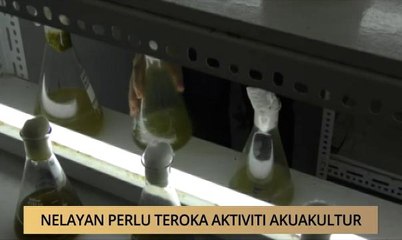 AWANI - Kedah: Nelayan perlu teroka aktiviti akuakultur